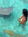 Bora Bora Private Boat - Snorkeling & Motu Lunch (6h)