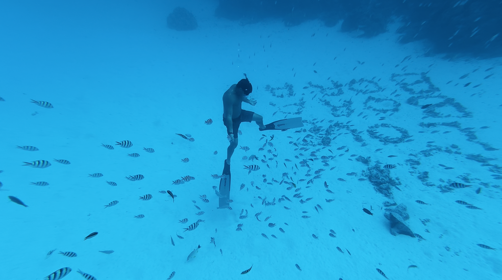 Bora Bora Private Boat - Snorkeling & Lagoon Exploration (3h)
