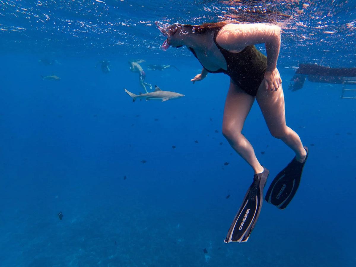 Bora Bora Private Boat - Snorkeling & Lagoon Exploration (3h)