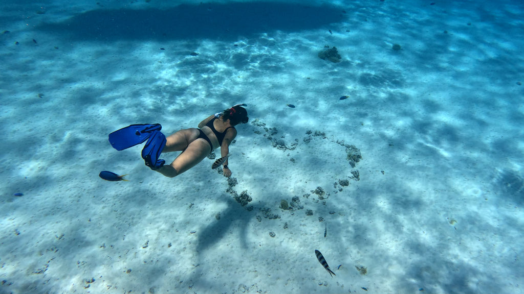 Bora Bora Private Boat - Snorkeling & Lagoon Exploration (3h)
