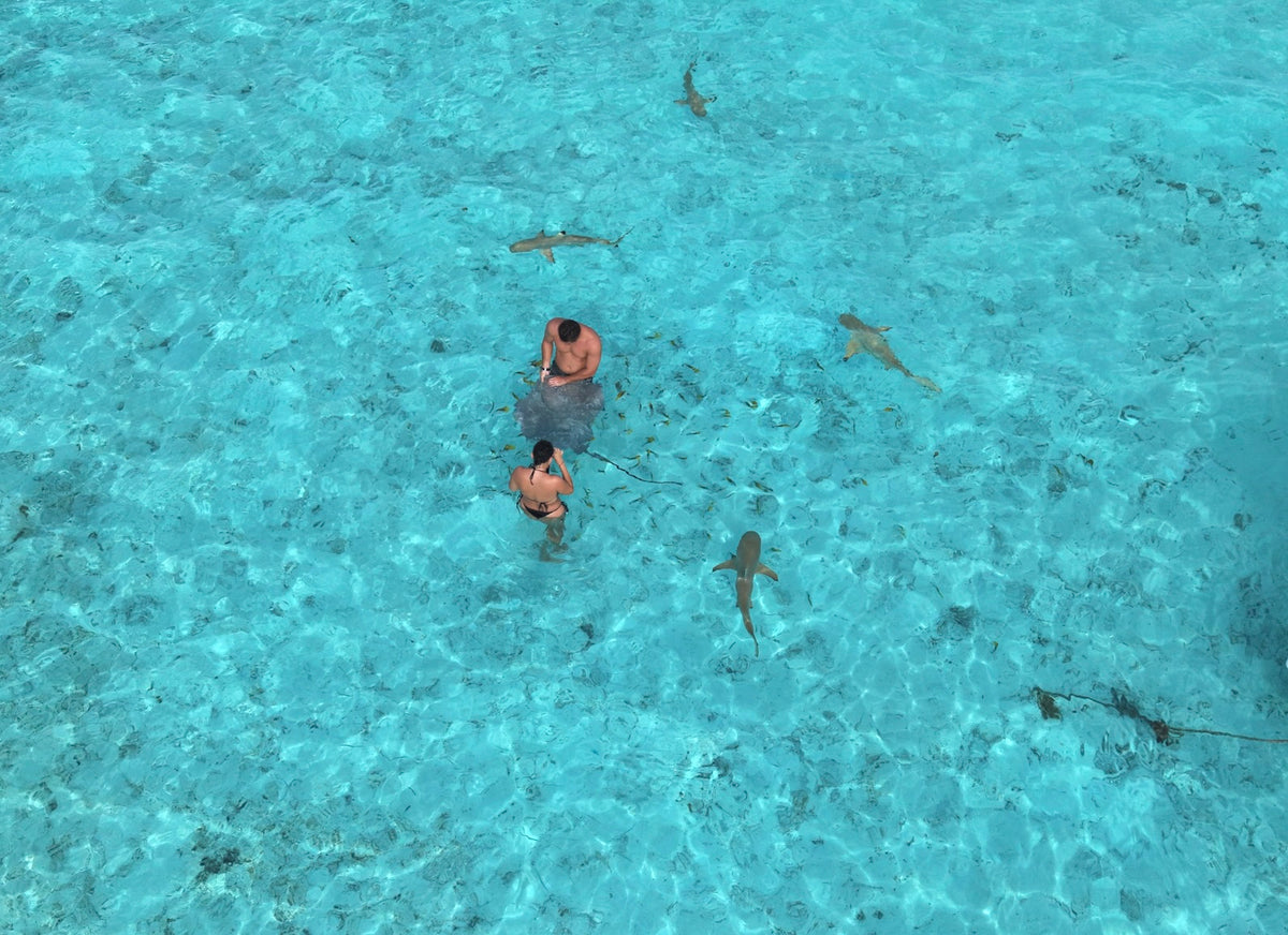 Bora Bora Private Boat - Snorkeling & Lagoon Exploration (3h)