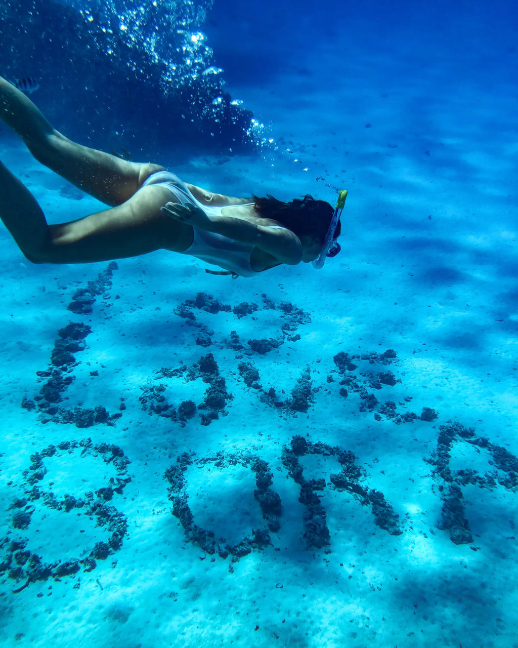 Bora Bora Private Boat - Snorkeling & Lagoon Exploration (3h)