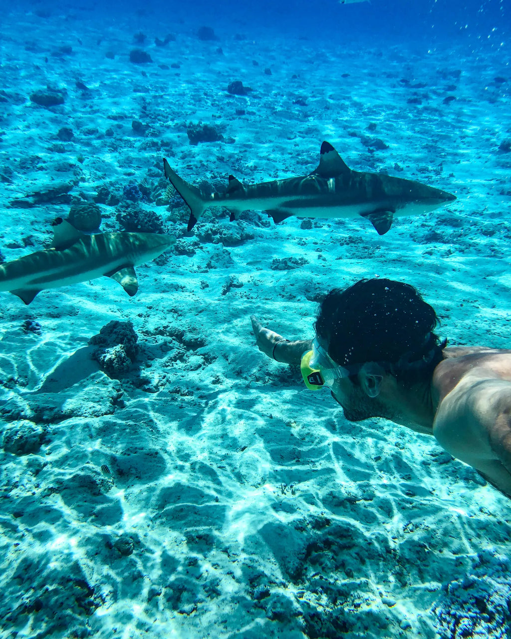 PRIVATE LAGON TOUR - 3 HOURS