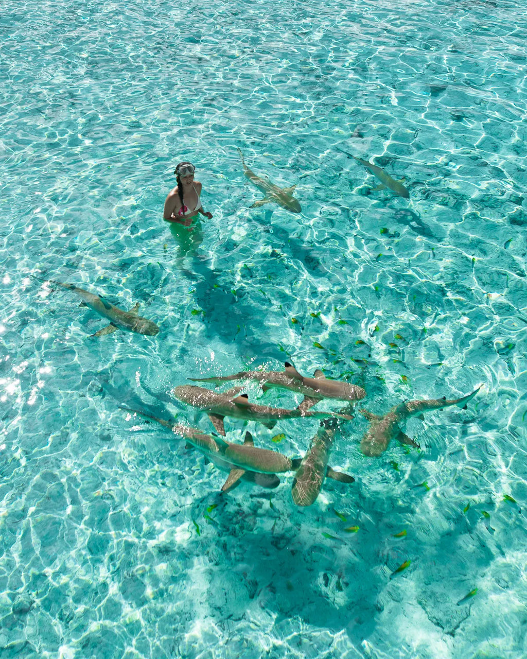 PRIVATE LAGON TOUR - 3 HOURS