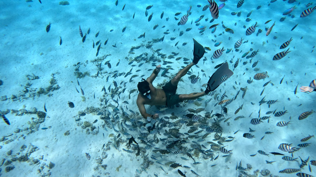 Bora Bora Private Boat - Snorkeling & Lagoon Exploration (3h)