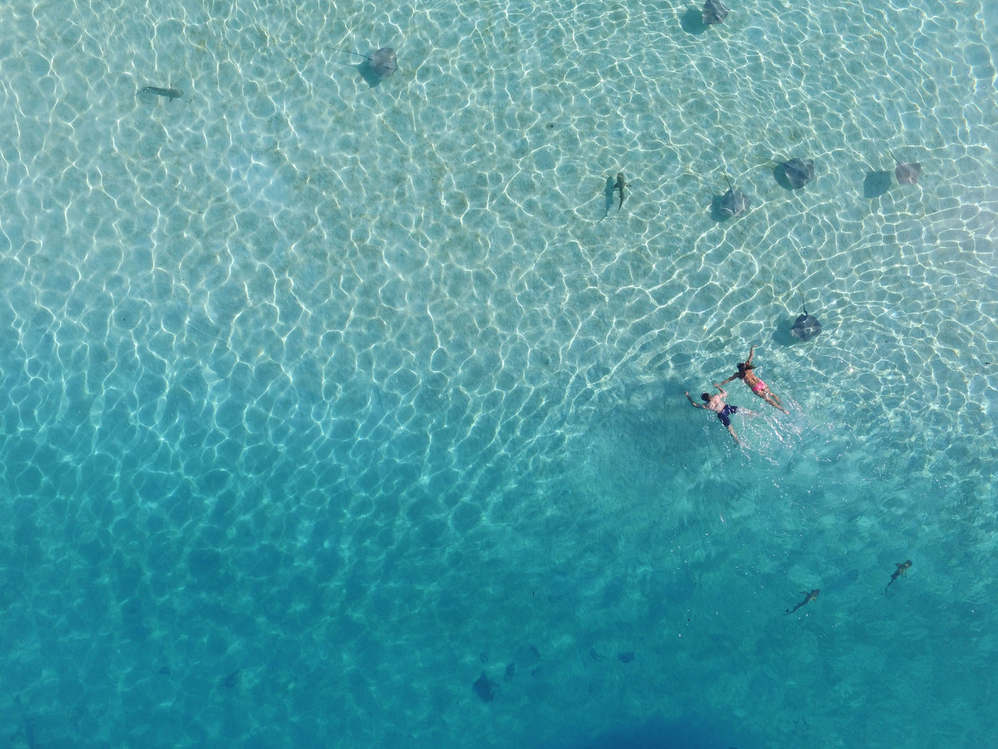 PRIVATE LAGON TOUR and LUNCH - 5 HOURS